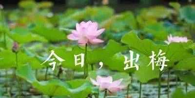 上海出梅了是什么意思