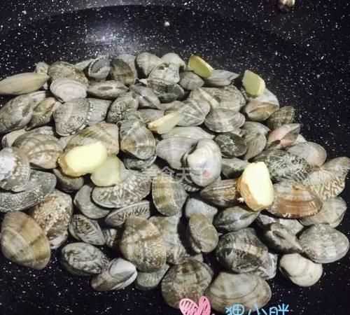 花蛤淡水能活嗎