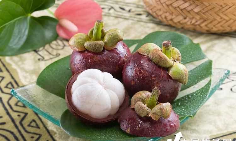 金猴山竹產(chǎn)地