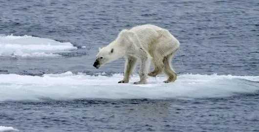 全球變暖的后果,全球變暖引起的后果會濕圖4