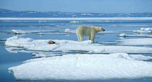全球變暖的后果,全球變暖引起的后果會濕圖6