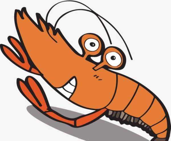 蝦頭里面的黃到底是什么,小龍蝦蝦頭的黃色是什么圖6