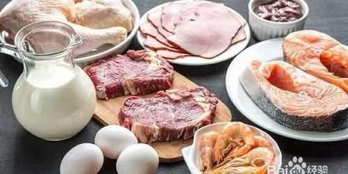 吃什么食物補(bǔ)充蛋白質(zhì)