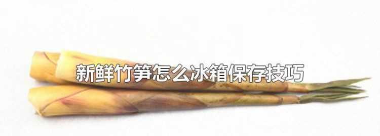 地里挖的新鮮筍能放冰箱保存嗎