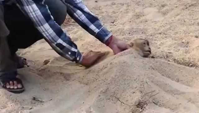 觸電埋沙堆有什么用,人觸電后用沙子埋吸走電這科學(xué)