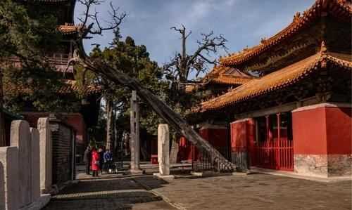 魯西南是哪幾個(gè)城市,魯西南是哪幾個(gè)城市圖1