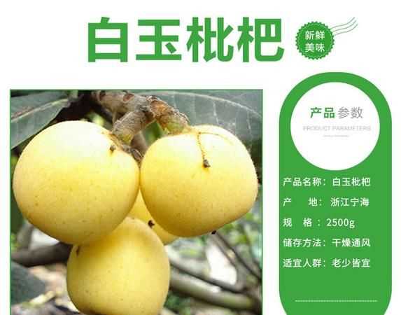 青種枇杷和白玉枇杷的區(qū)別在哪里
