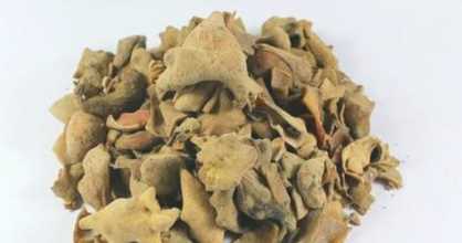 五貝子是什么,五貝子是什么圖3