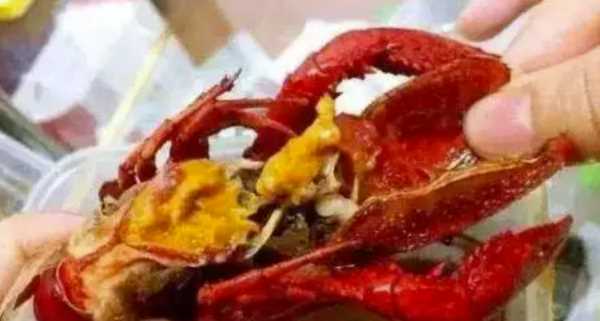 小龍蝦死后多久不能吃,波士頓龍蝦死了多久不能吃了圖2