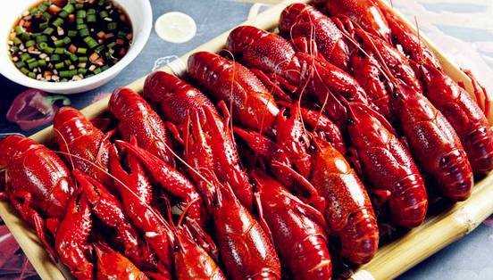 小龍蝦死后多久不能吃,波士頓龍蝦死了多久不能吃了圖8