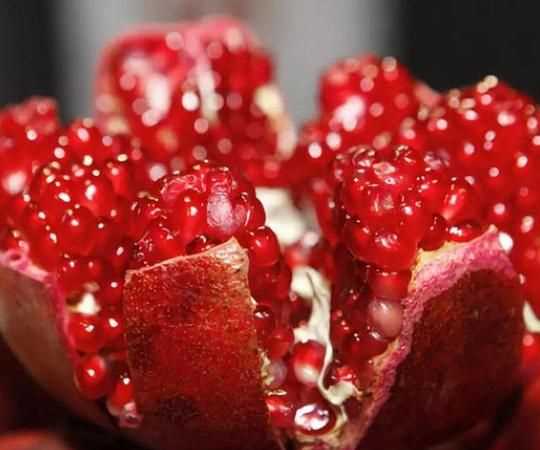 世界上脂肪最多的水果是什么,哪種水果的脂肪合量比瘦肉還要高