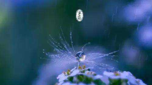 清明前面是什么節(jié)氣,清明節(jié)的前一個節(jié)日是什么節(jié)日圖4