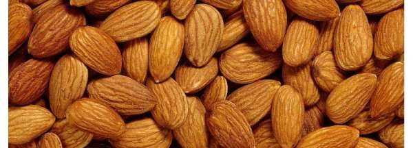 杏子的核可以敲開吃,杏子的核可以敲開吃嗎圖4