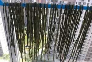 豇豆角干怎么曬好吃,怎么曬干豆角圖4