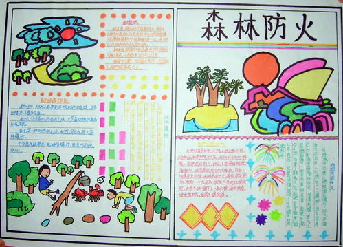 冬季森林安全防火知識手抄報(bào)