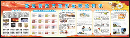 自然災害安全知識題