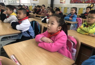 一級小學(xué)生校園安全知識問答