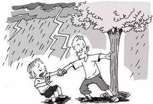 關(guān)于安全知識觸電方面