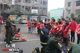 消防官兵訓練安全知識體會