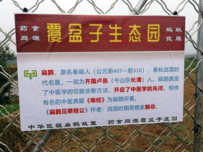 林產(chǎn)品安全知識