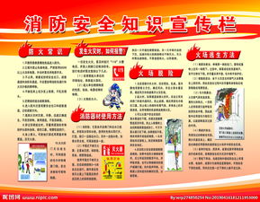 校園消防安全知識(shí)作文600字