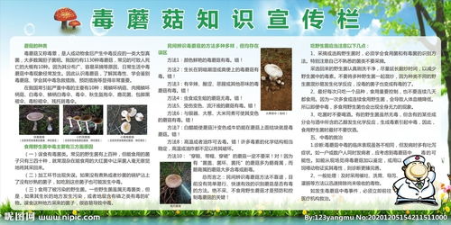 毒蘑菇安全知識