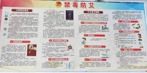 安全法制知識進校園活動總結(jié)