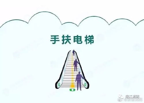 幼兒園手扶電梯安全知識(shí)