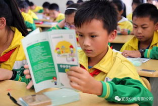 安全知識(shí)我知安全用電