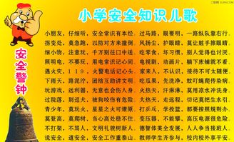 安全知識(shí)進(jìn)我行作文400