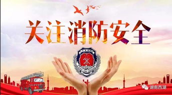 《消防安全知識(shí)》觀后