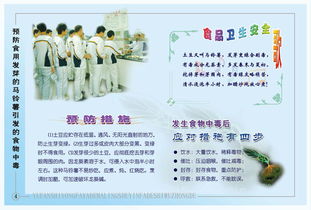 防食物中毒安全防范知識