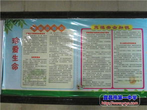 五月份國旗下安全知識講話