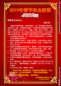 春節(jié)安全防范知識宣傳