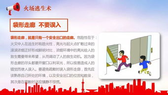 安全知識競賽心得體會ppt