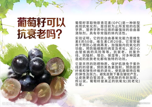 安全知識為主題的宣傳小畫報