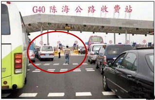 收費站駕駛員安全知識培訓(xùn)心得