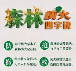 農(nóng)村清明節(jié)森林防火安全知識(shí)