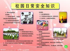 校園安全知識短語