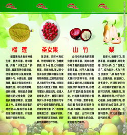 食品與安全知識(shí)競(jìng)賽總結(jié)語(yǔ)