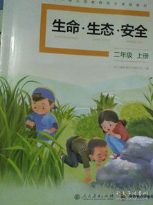 二級(jí)上冊(cè)生命生態(tài)安全知識(shí)點(diǎn)