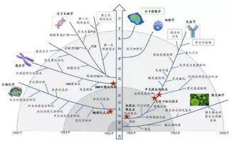 體外診斷安全知識