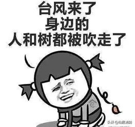 臺(tái)風(fēng)安全防護(hù)小知識(shí)