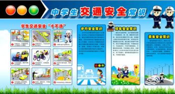 中學(xué)生交通安全知識讀后感