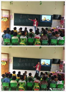 森林防火安全知識(shí)教育的重要性