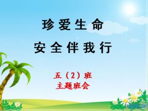 安全知識(shí)伴我行班會(huì)教案