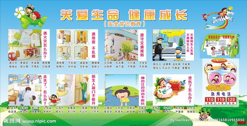 幼兒園基本安全知識(shí)有哪些