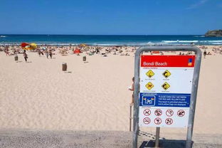 外出游玩水上安全知識資料