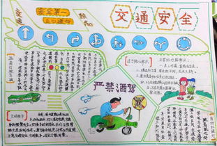 食品和交通安全的知識手抄報