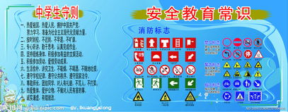 中小學(xué)生道路安全教育知識